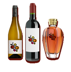 MSF PACKAGING / bouteille