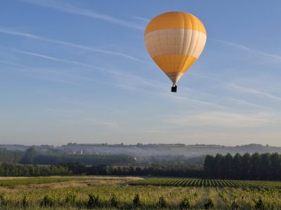 Vue depuis MSF Packaging, au milieu des vignes des vins de Graves. Bouteilles bouchons cartons capsules à votre dispo au coeur du vignobles
